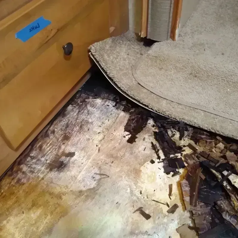 Wood Floor Water Damage in Meadowbrook, AL